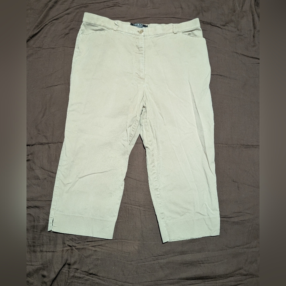 Tribal Beige Stretch Pants, Size 12